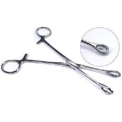 SPONGE HOLDING FORCEPS 8"